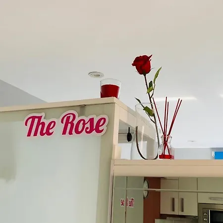 Atico Loft The Rose 48 Apartment