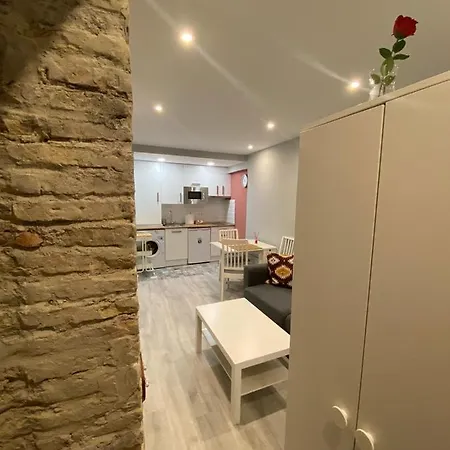 Apartment Atico Loft The Rose 48 *
