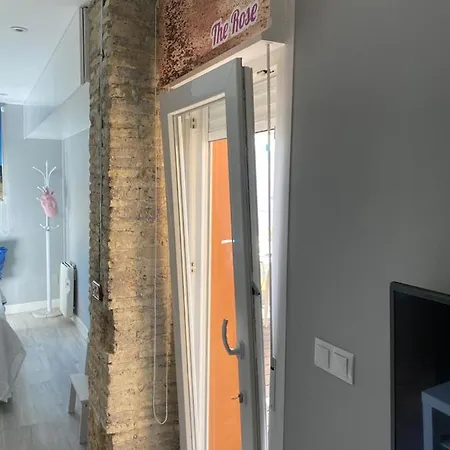 Atico Loft The Rose 48