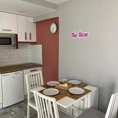 Atico Loft The Rose 48 Cádiz