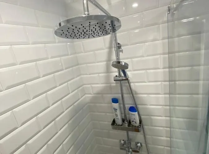 Atico Loft The Rose 48 *