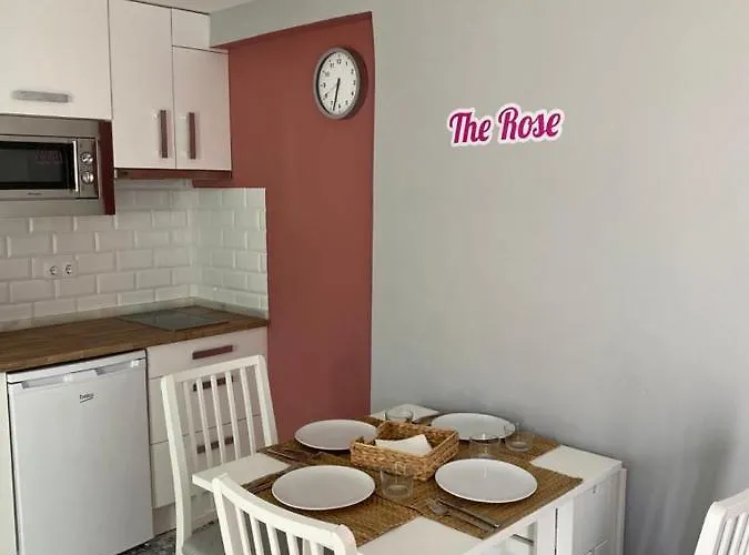 Atico Loft The Rose 48 Cadice