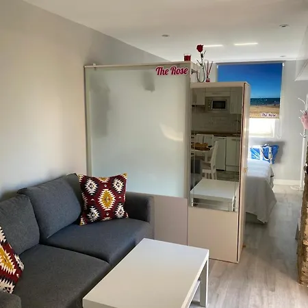 Apartamento Atico Loft The Rose 48